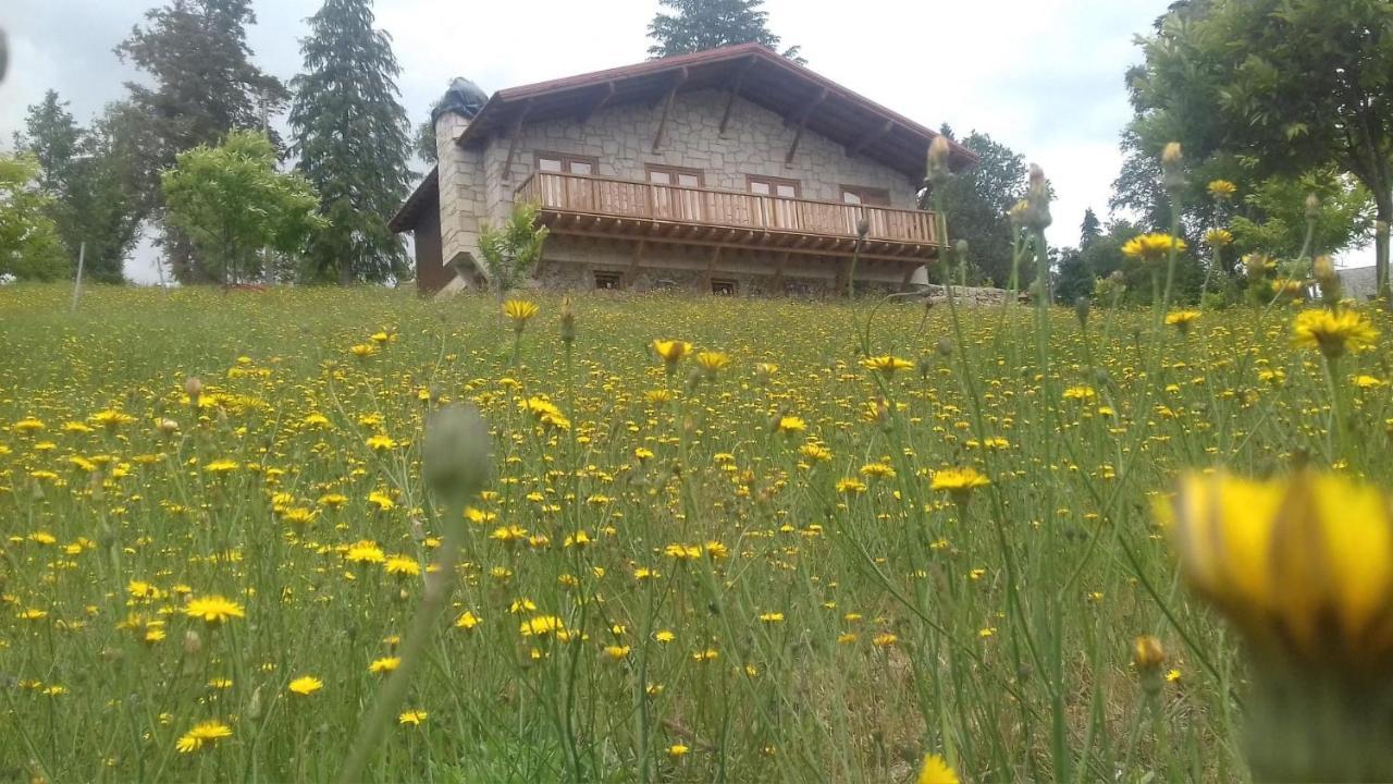 Quinta Outono Dourado Villa Montalegre Exterior photo